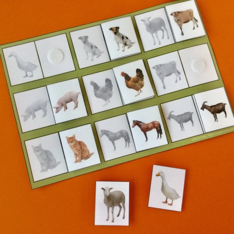 Grtoner til farver husdyr