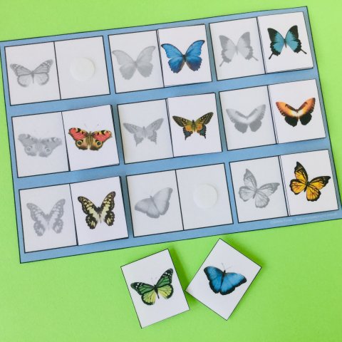 Grtoner til farver sommerfugle