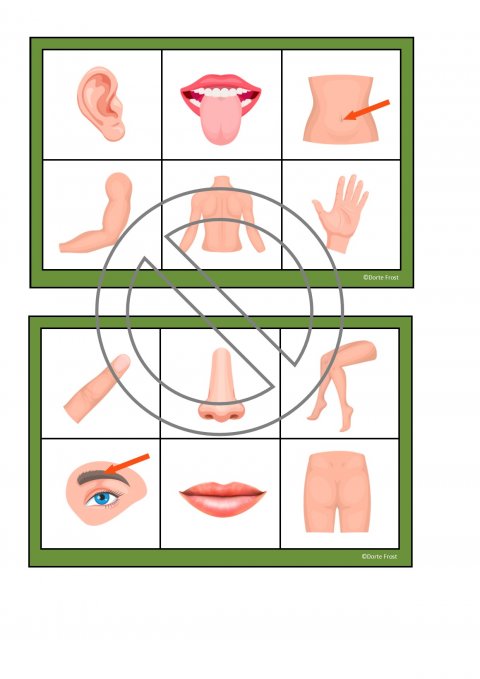 Bingo/billedlotteri om kroppen
